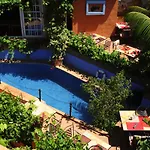Amanhavis 3*